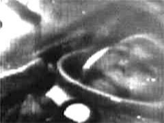 Gagarin on Vostok-1